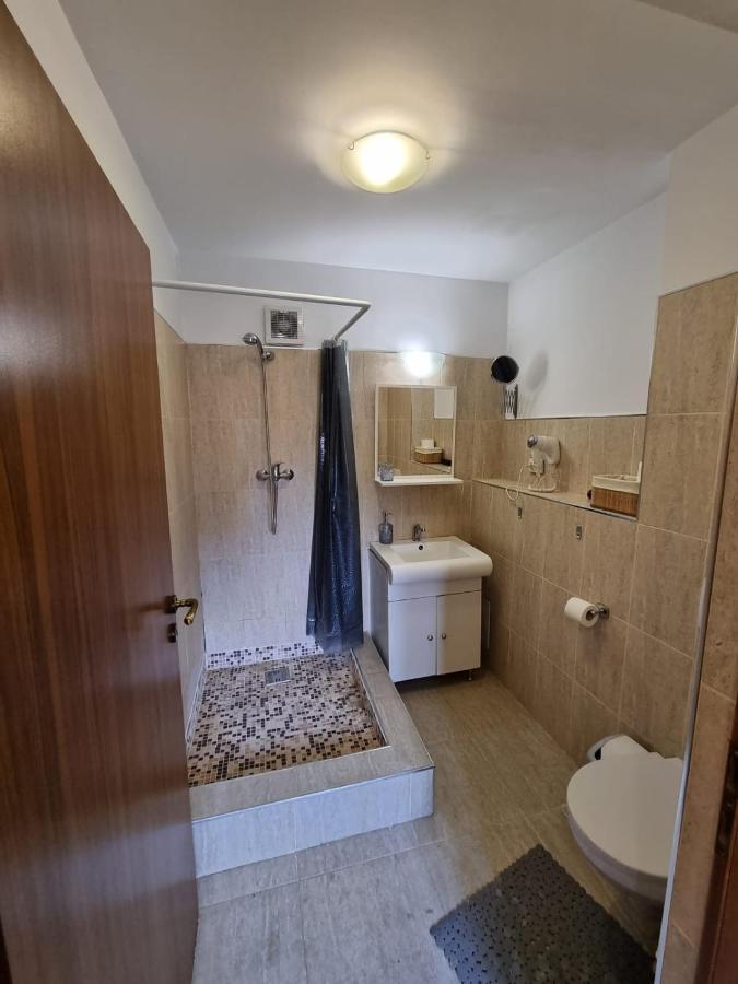 Apartament Casa Romana Ploeszti Zewnętrze zdjęcie